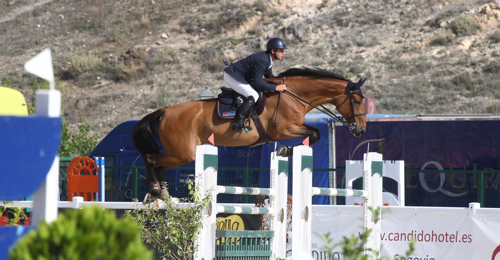fdg horses alta competicion 51