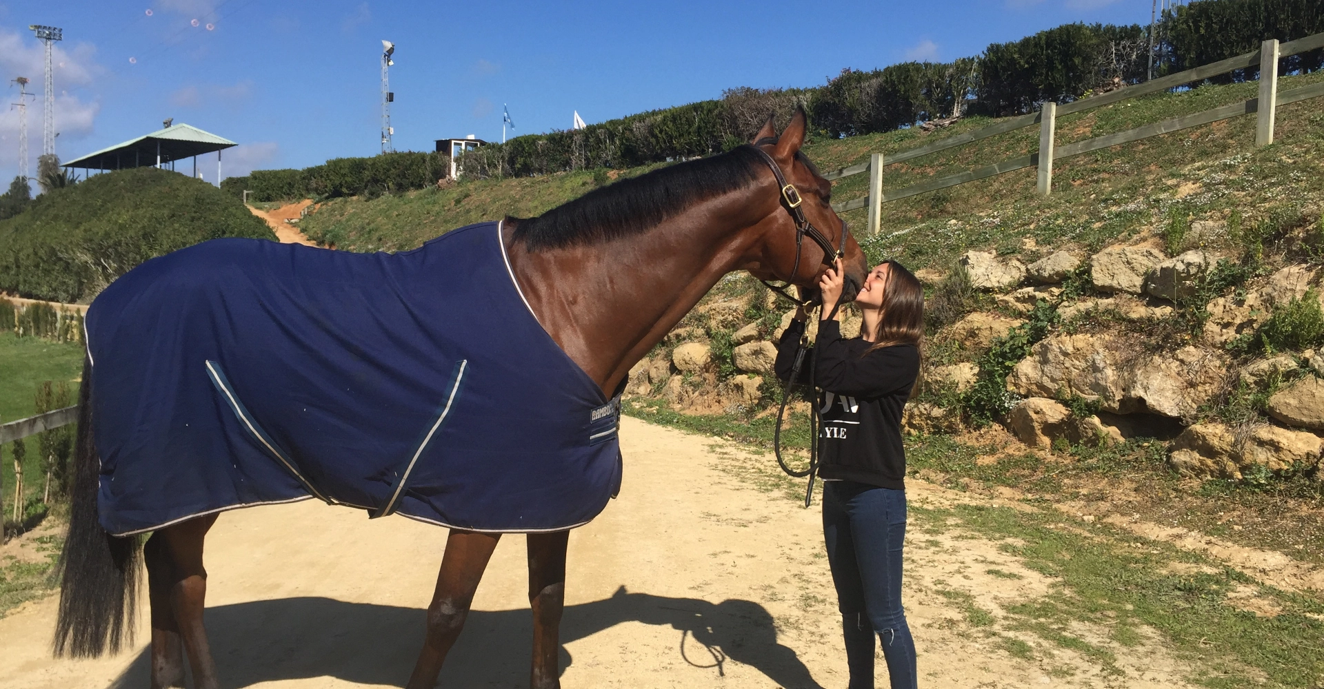 fdg horses alta competicion 52