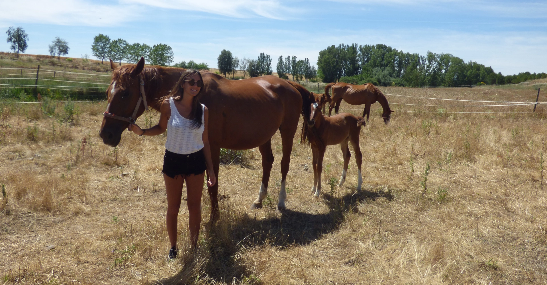 fdg horses alta competicion 58