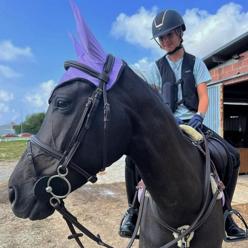 fdg horses gestion equina 02
