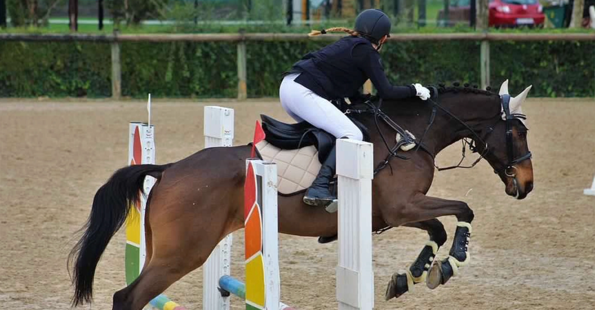 fdg horses gestion equina entrenamiento 06