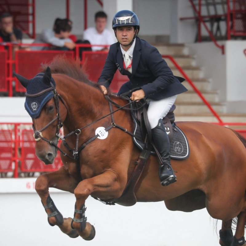 fdg horses gestion equina fidel davila