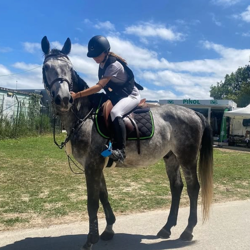 fdg horses gestion equina venta caballos 02