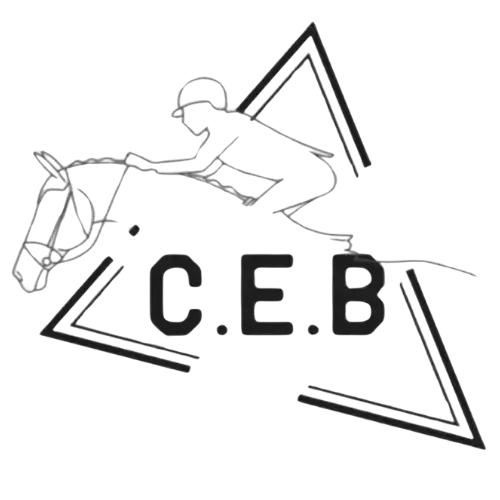 logo-centro-ecuestre-bretemaBN