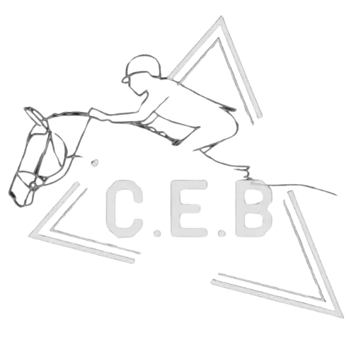 logo-centro-ecuestre-bretemaNB