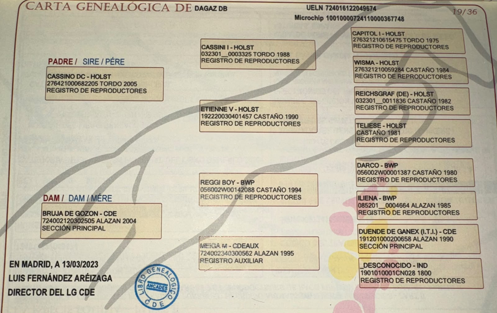 Dagaz DB - Imagen 2
